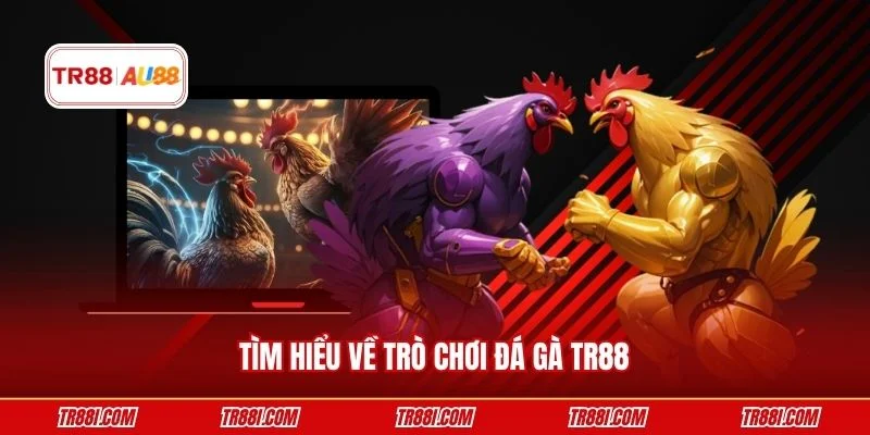 Tìm hiểu về trò chơi đá gà TR88